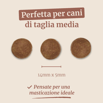 Crocchette con Pollo, Patate Dolci ed Erbe per cani adulti di taglia media
