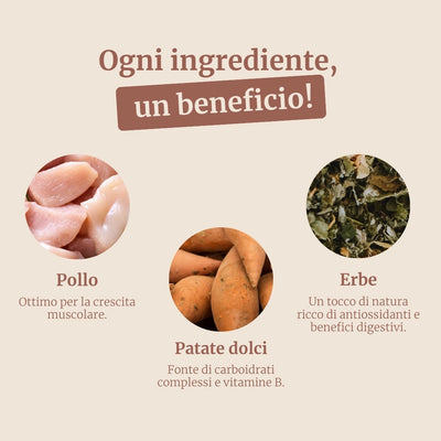 Crocchette con Pollo, Patate Dolci ed Erbe per cani adulti di taglia piccola
