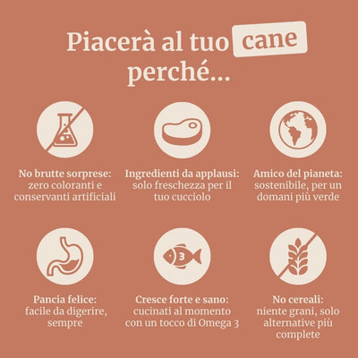 Crocchette con Pollo, Tacchino, Salmone, Patate Dolci e Carota per cani cuccioli di taglia media