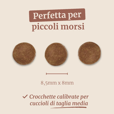 Crocchette con Pollo, Tacchino, Salmone, Patate Dolci e Carota per cani cuccioli di taglia media