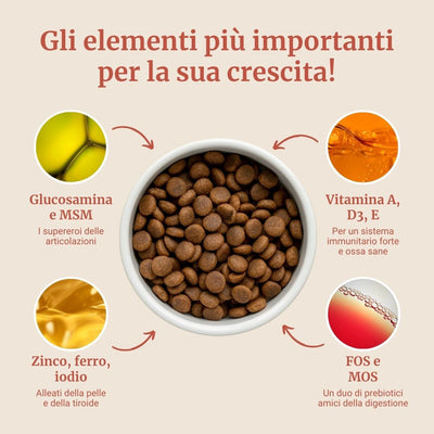 Crocchette con Salmone, Eglefino, Pesce Bianco, Patate Dolci e Asparagi per cani cuccioli di taglia media