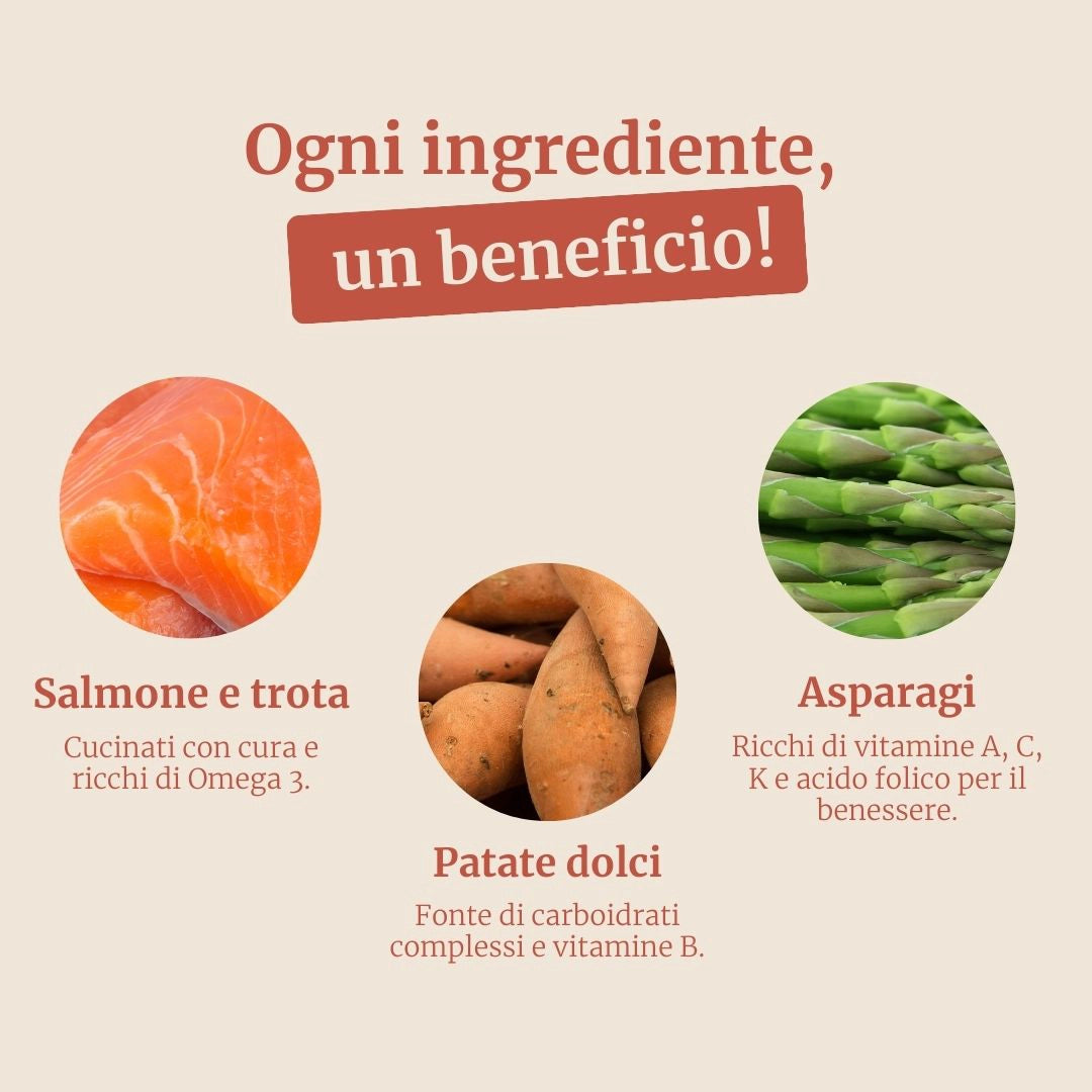 Crocchette con Salmone, Trota, Patate Dolci e Asparagi per cani adulti di taglia grande