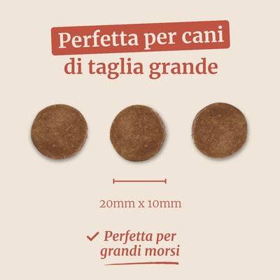Crocchette con Salmone, Trota, Patate Dolci e Asparagi per cani adulti di taglia grande