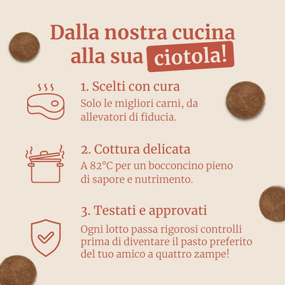 Crocchette con Salmone, Trota, Patate Dolci e Asparagi per cani adulti di taglia media