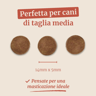 Crocchette con Salmone, Trota, Patate Dolci e Asparagi per cani adulti di taglia media