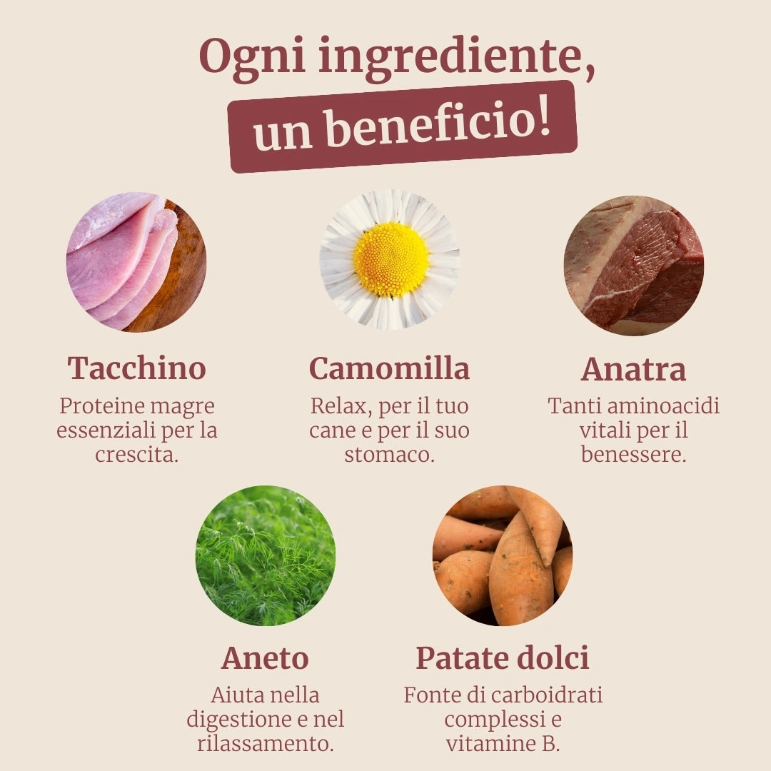 Crocchette con Tacchino, Anatra, Patate Dolci, Aneto e Camomilla per cani cuccioli di taglia piccola