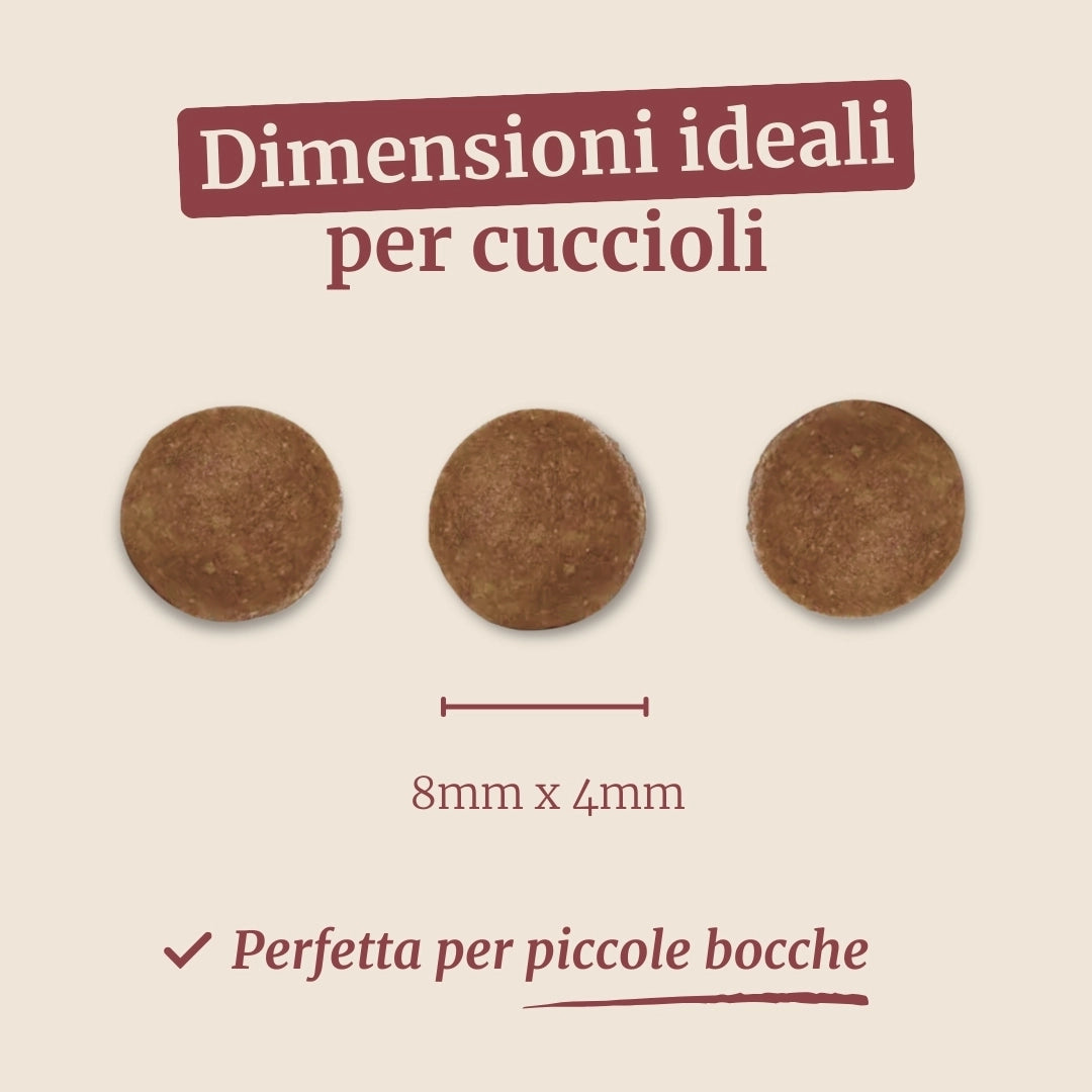 Crocchette con Tacchino, Anatra, Patate Dolci, Aneto e Camomilla per cani cuccioli di taglia piccola