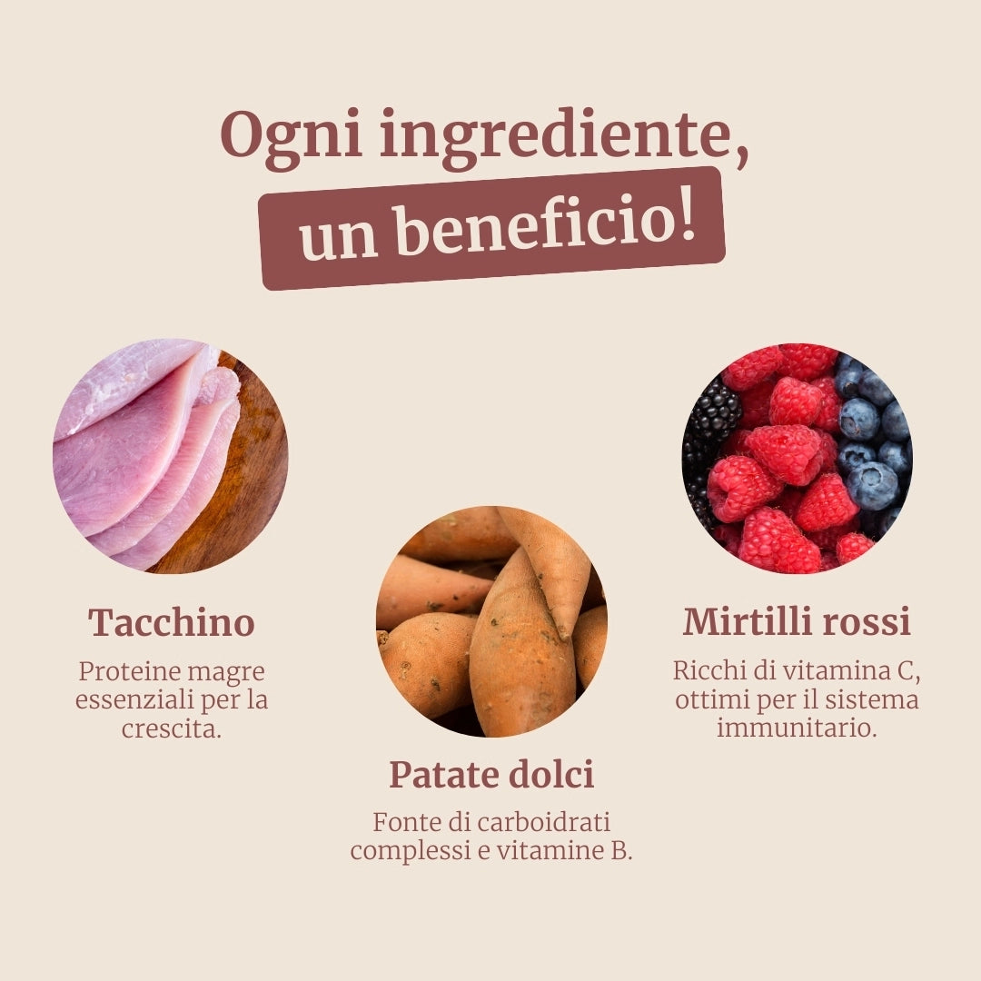 Crocchette con Tacchino, Patate Dolci e Mirtillo Rosso per cani adulti di taglia grande