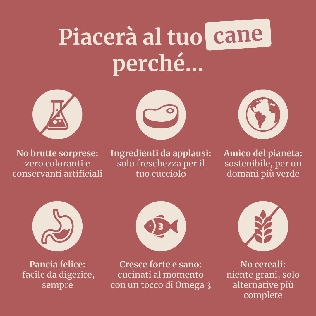 Crocchette con Tacchino, Patate Dolci e Mirtillo Rosso per cani adulti di taglia grande