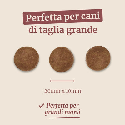Crocchette con Tacchino, Patate Dolci e Mirtillo Rosso per cani adulti di taglia grande