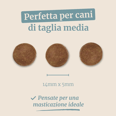 Crocchette con Tonno, Patate Dolci e Broccoli per cani adulti di taglia media