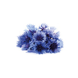 Fiordaliso
