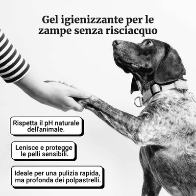 Gel igienizzante per le zampe senza risciacquo