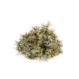 Lichene islandico