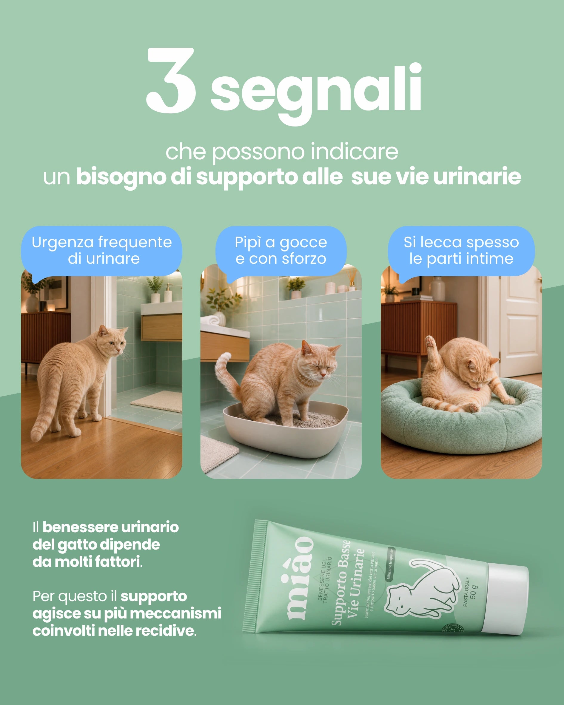 Supporto Basse Vie Urinarie
