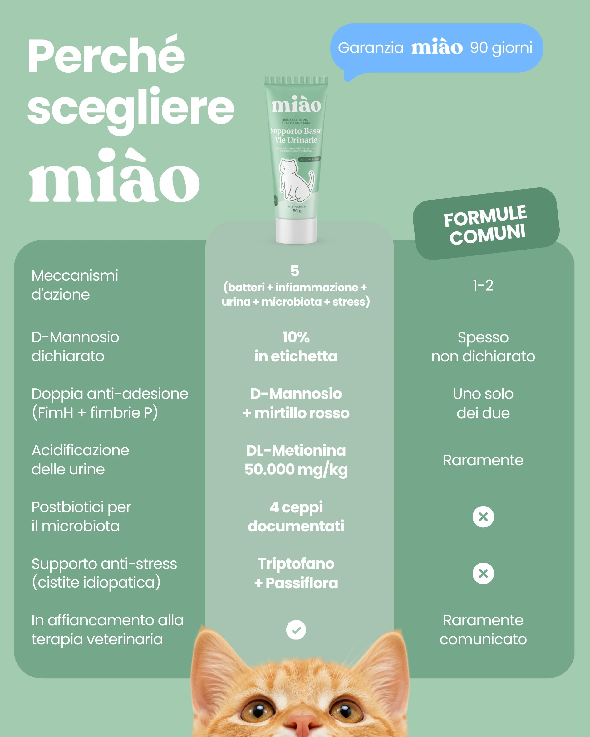 Supporto Basse Vie Urinarie