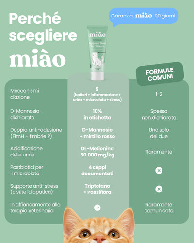 Supporto Basse Vie Urinarie