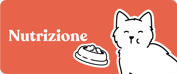 Nutrizione