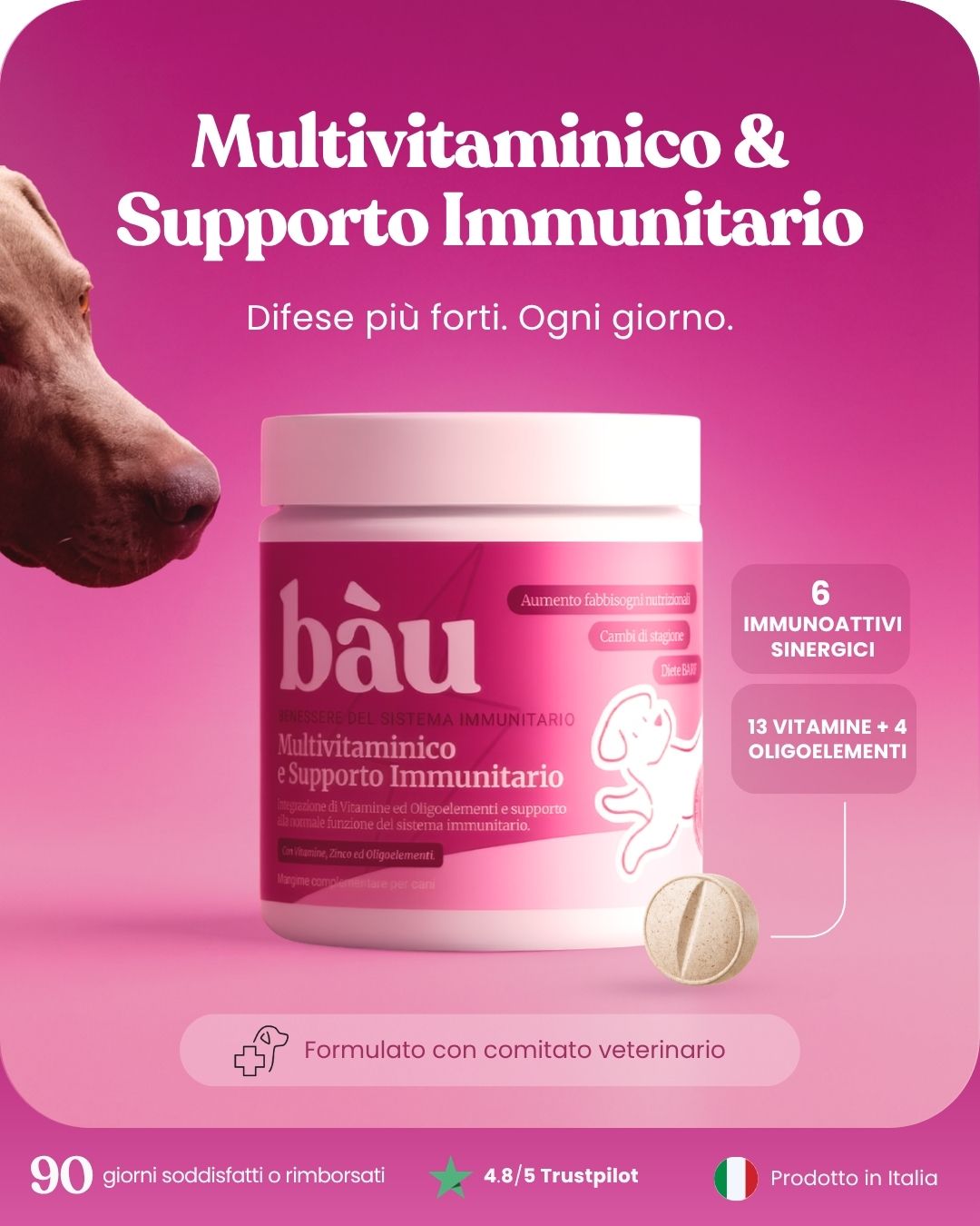 Multivitaminico e Supporto Immunitario