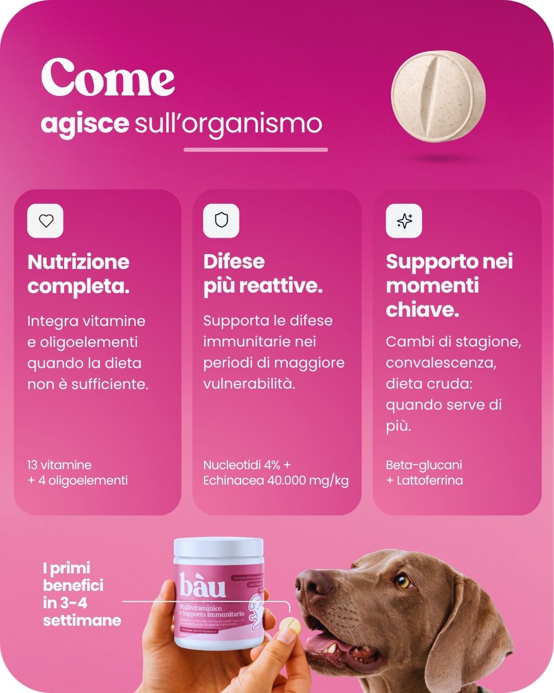 Multivitaminico e Supporto Immunitario