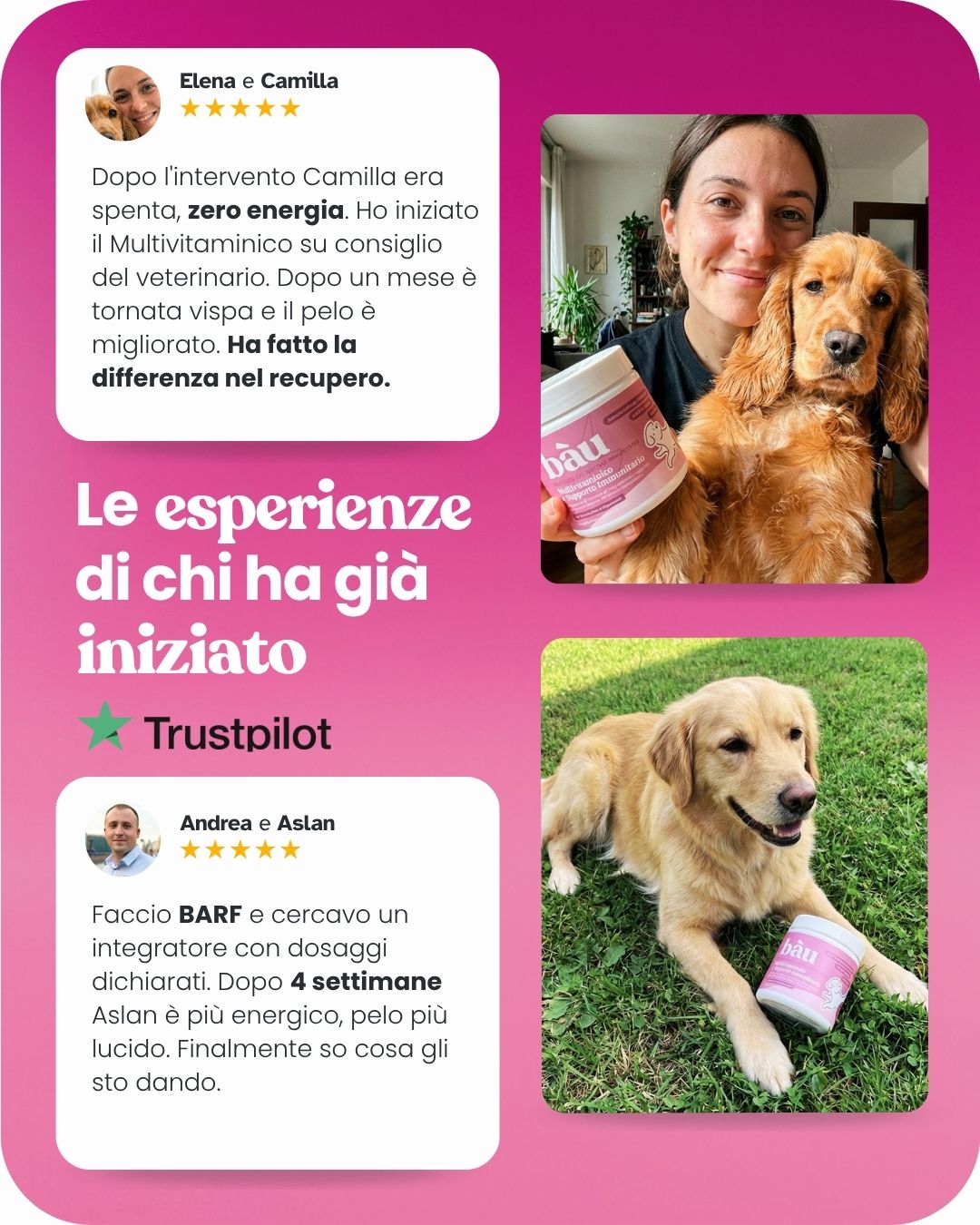 Multivitaminico e Supporto Immunitario