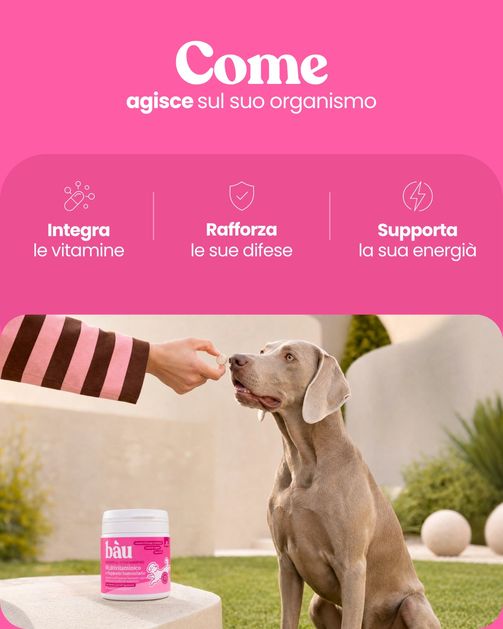 Multivitaminico e Supporto Immunitario