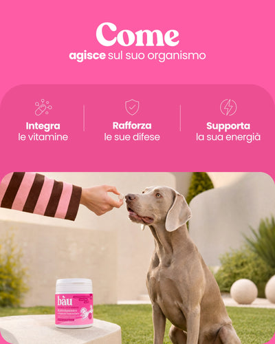 Multivitaminico e Supporto Immunitario