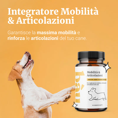 Mobilità & Articolazioni