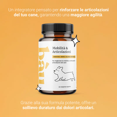 Mobilità & Articolazioni