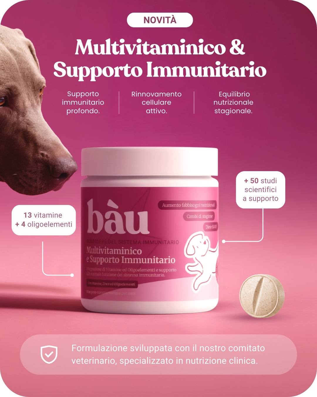 Multivitaminico e Supporto Immunitario