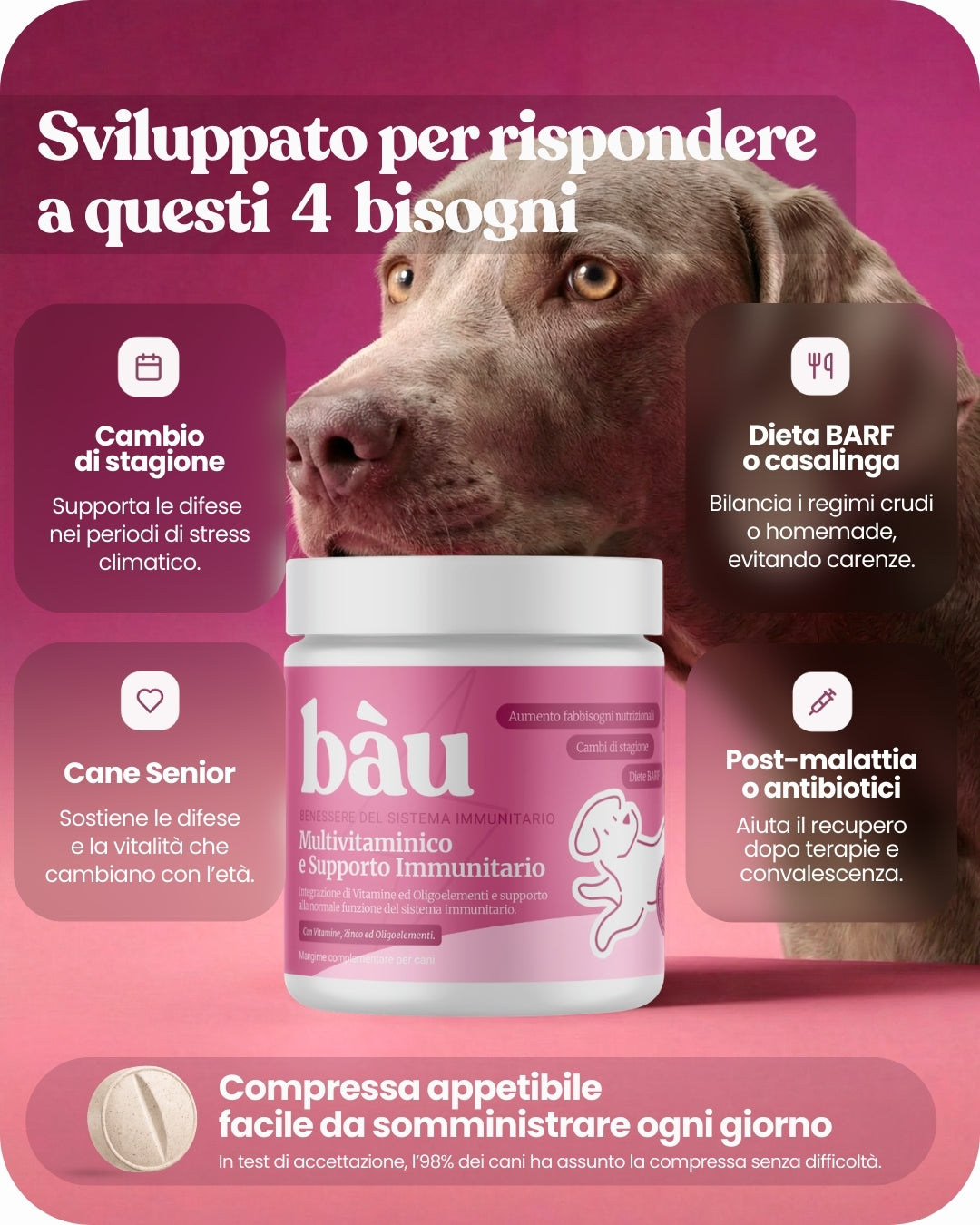 Multivitaminico e Supporto Immunitario