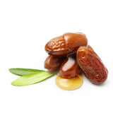 Jojoba
