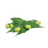 Neem