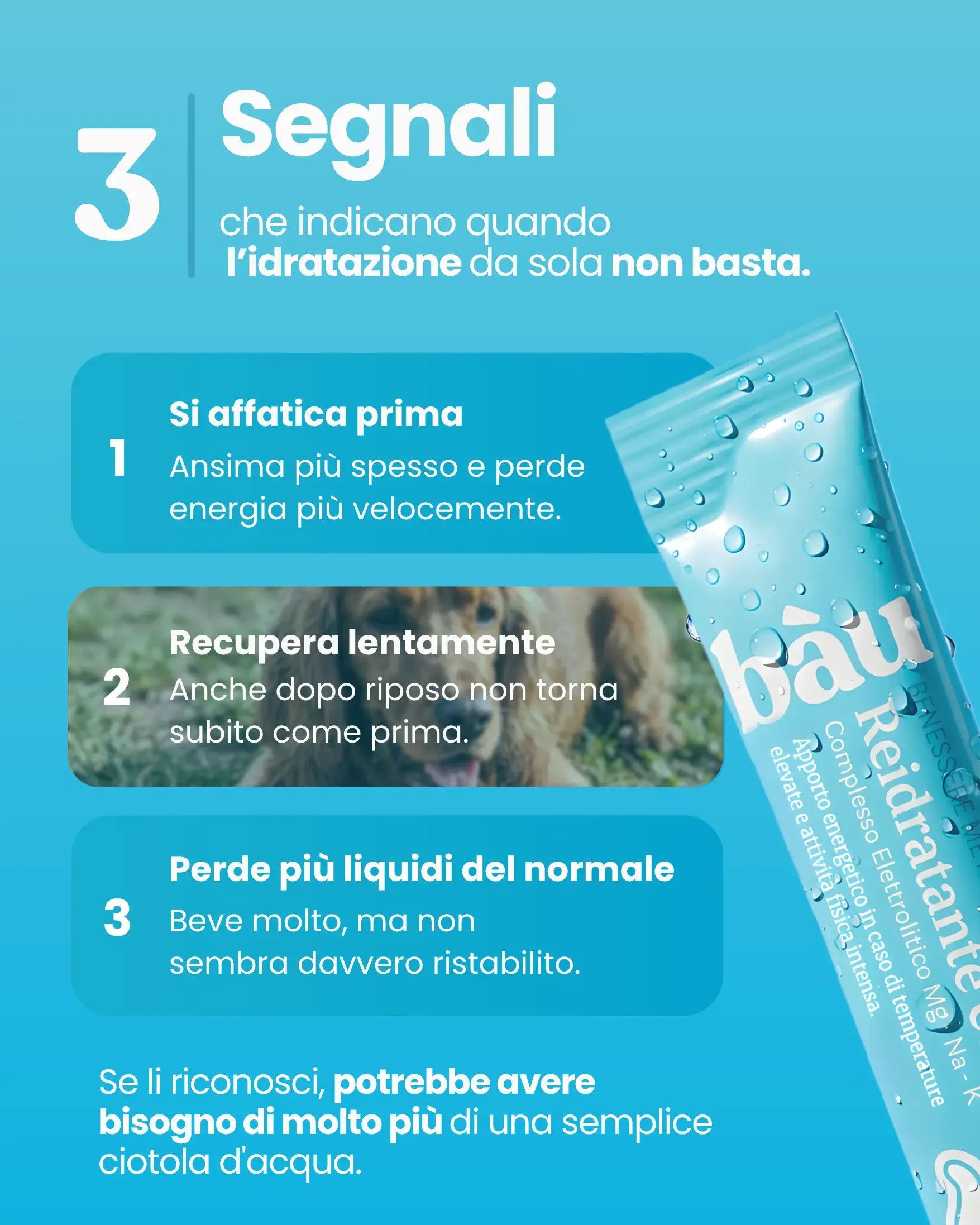 Reidratante con Complesso Elettrolitico