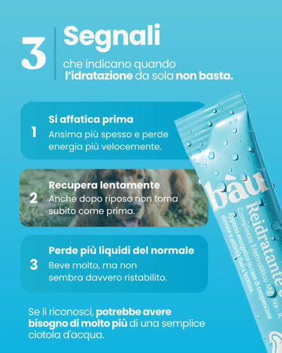Reidratante con Complesso Elettrolitico