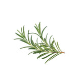 Rosmarino