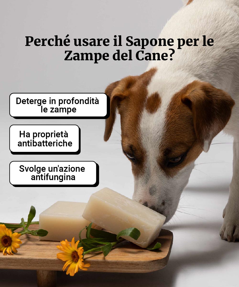 Sapone Solido per le Zampe