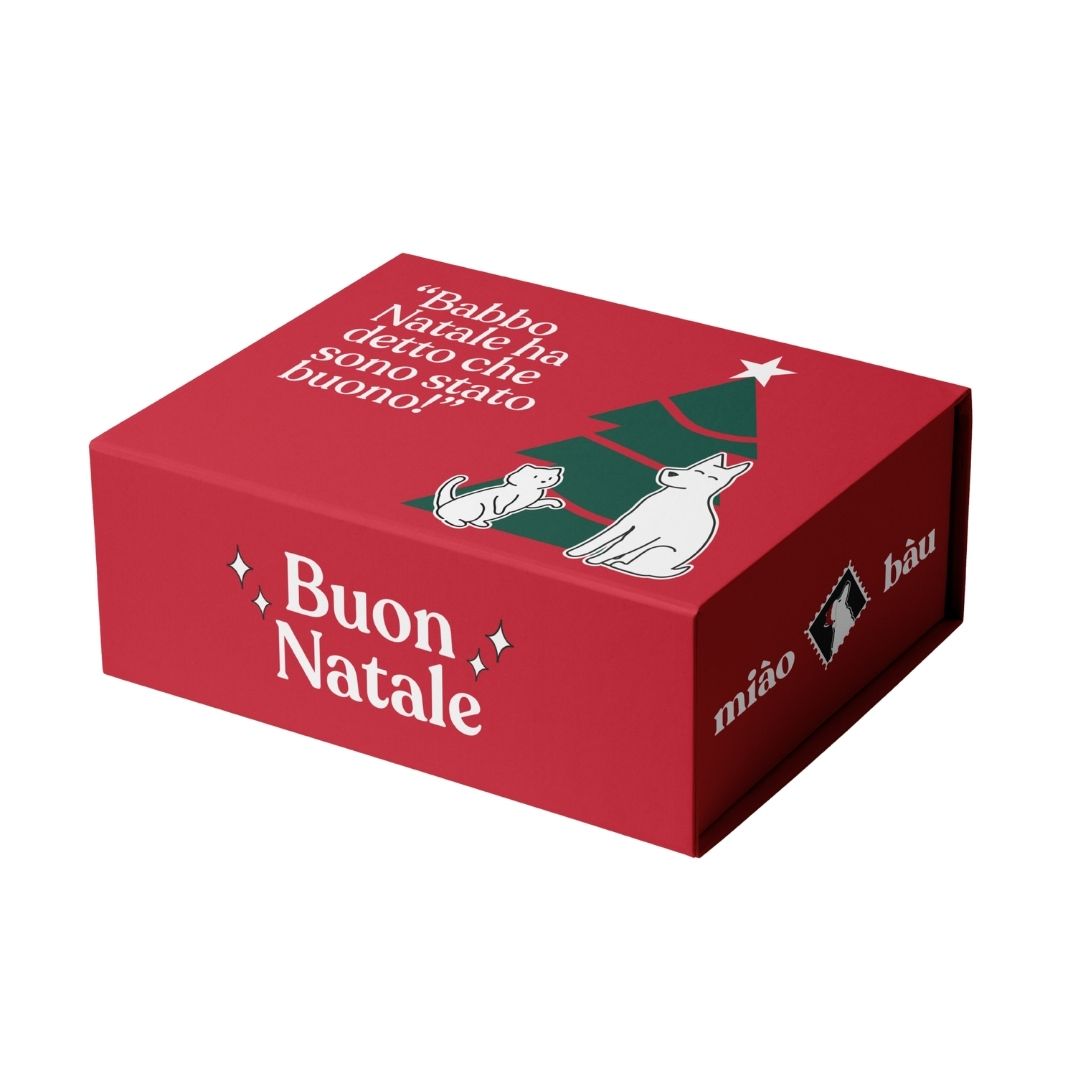 Box di Natale