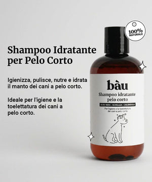 Shampoing hydratant cheveux courts