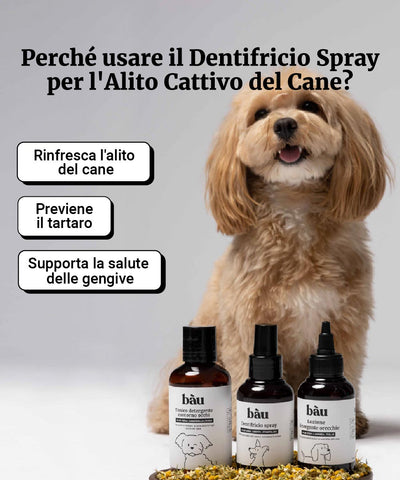 Dentifricio spray