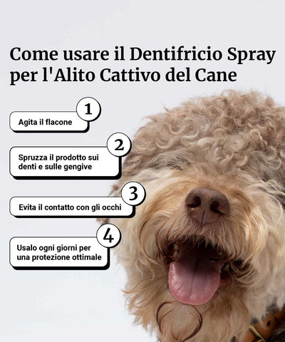Dentifricio spray